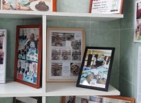 img (17)